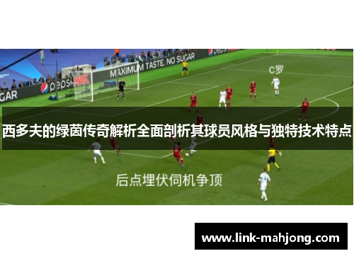 西多夫的绿茵传奇解析全面剖析其球员风格与独特技术特点 西多夫的绿茵传奇解析全面剖析其球员风格与独特技术特点